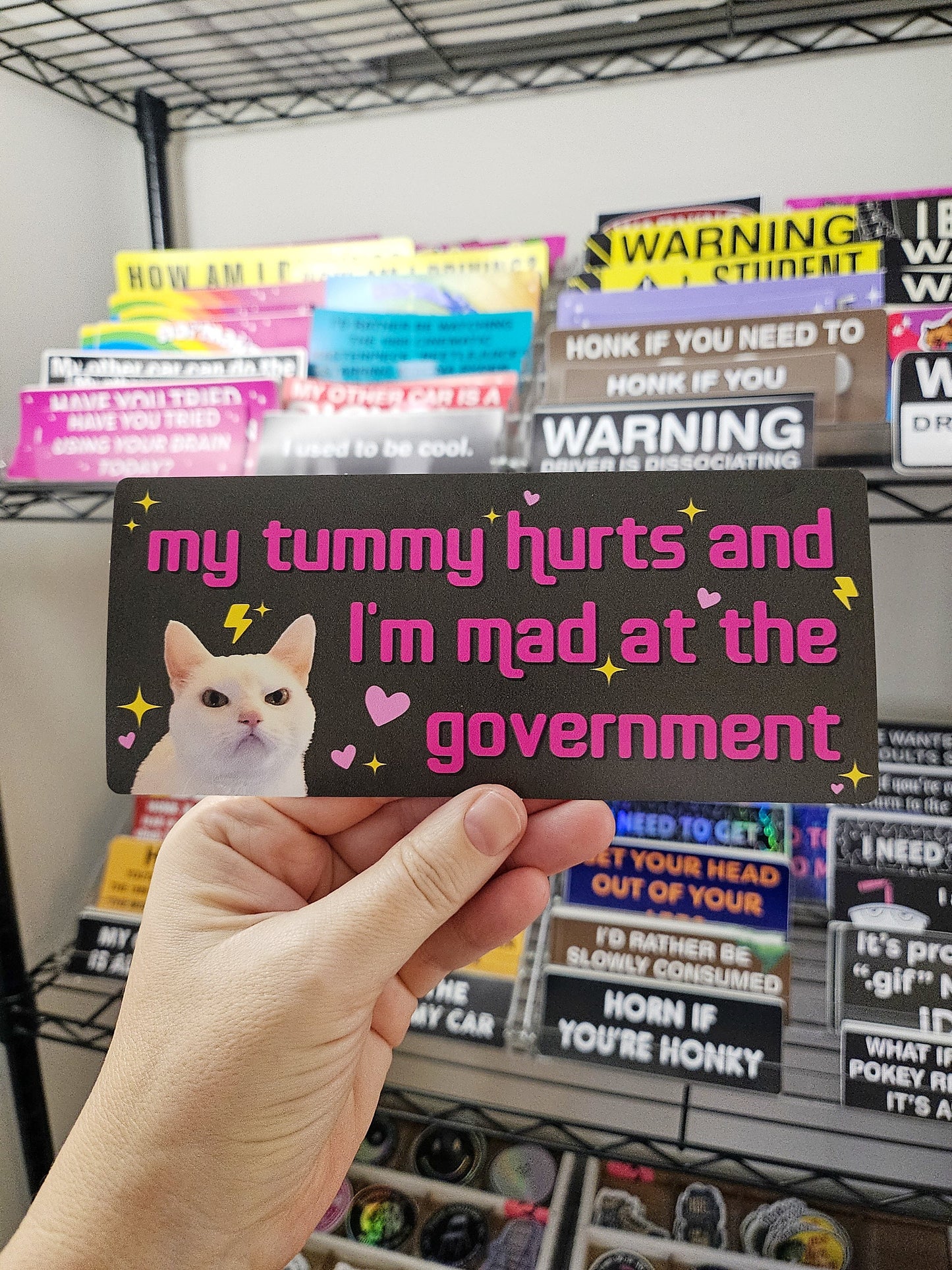 My Tummy Hurts and I'm Mad at the Government Funny 7" Bumper Sticker or Magnet