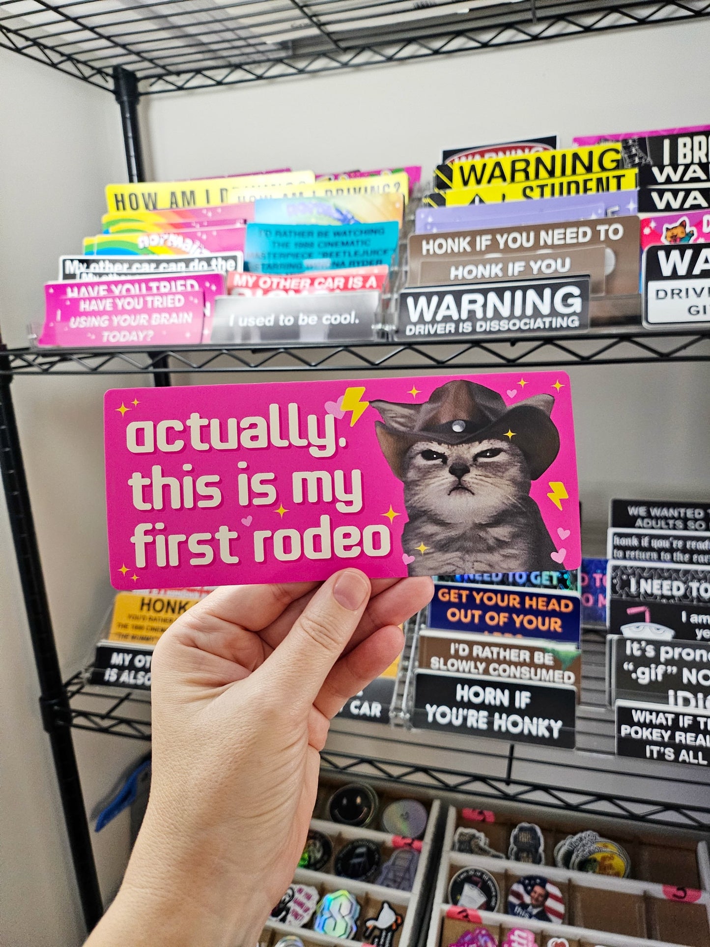 This is My First Rodeo Cat Funny 7" Bumper Sticker or Magnet