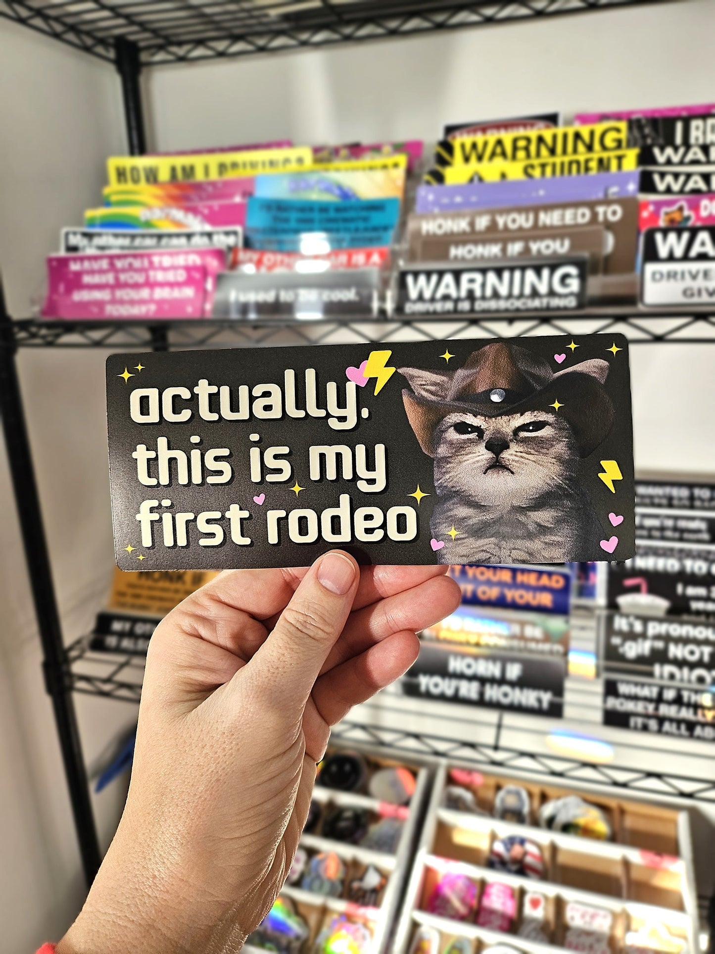 This is My First Rodeo Cat Funny 7" Bumper Sticker or Magnet