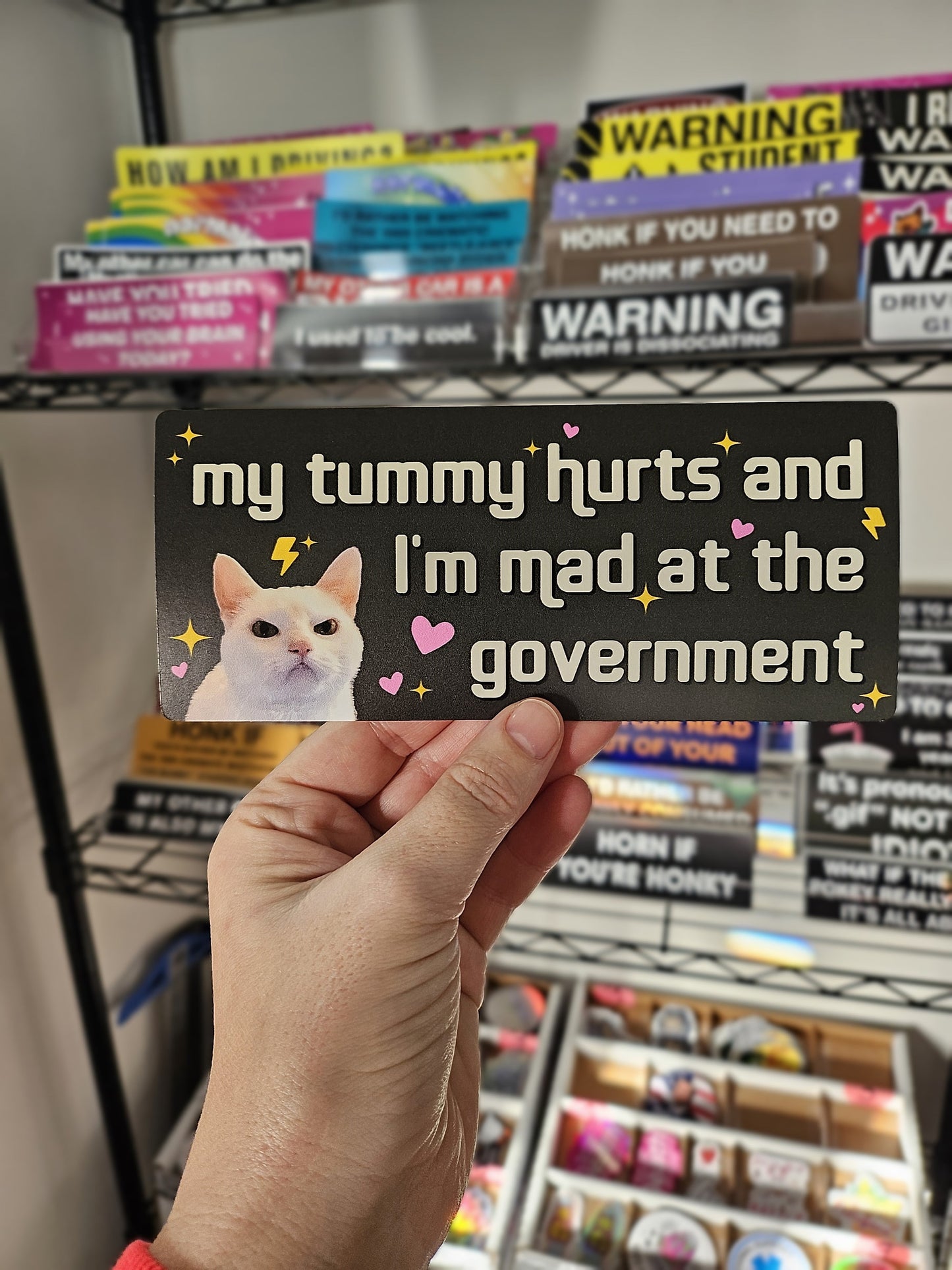 My Tummy Hurts and I'm Mad at the Government Funny 7" Bumper Sticker or Magnet