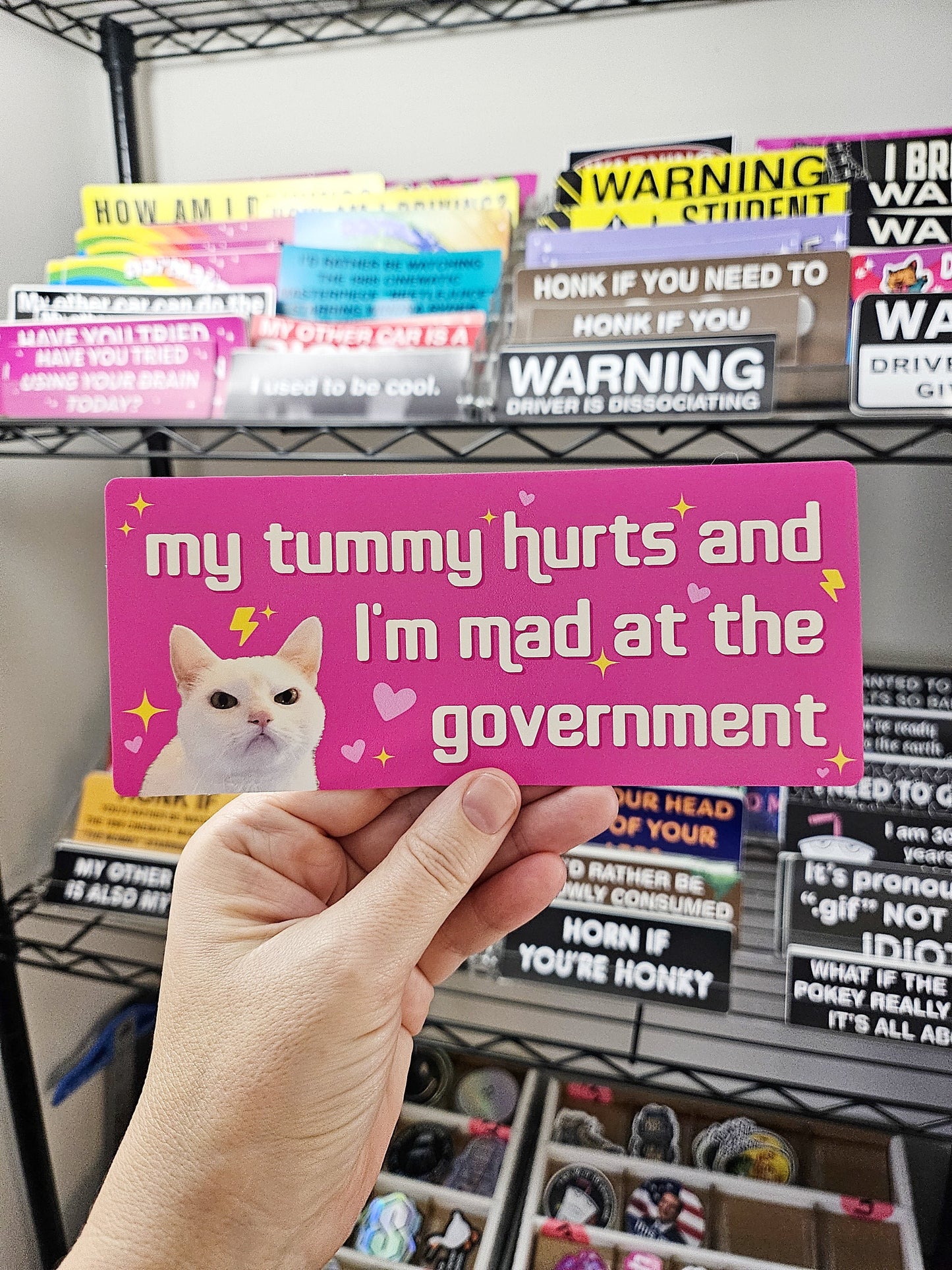 My Tummy Hurts and I'm Mad at the Government Funny 7" Bumper Sticker or Magnet