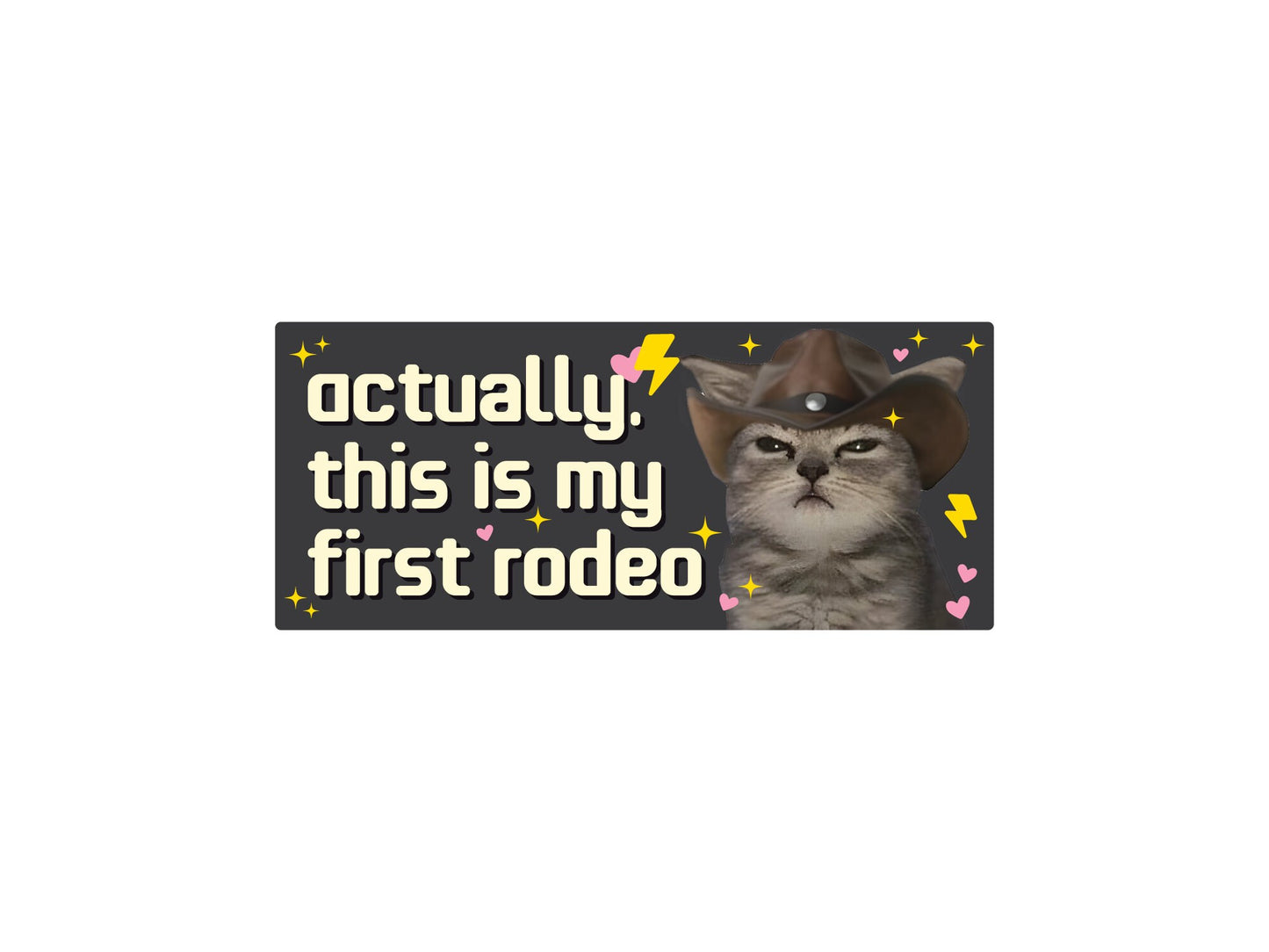 This is My First Rodeo Cat Funny 7" Bumper Sticker or Magnet