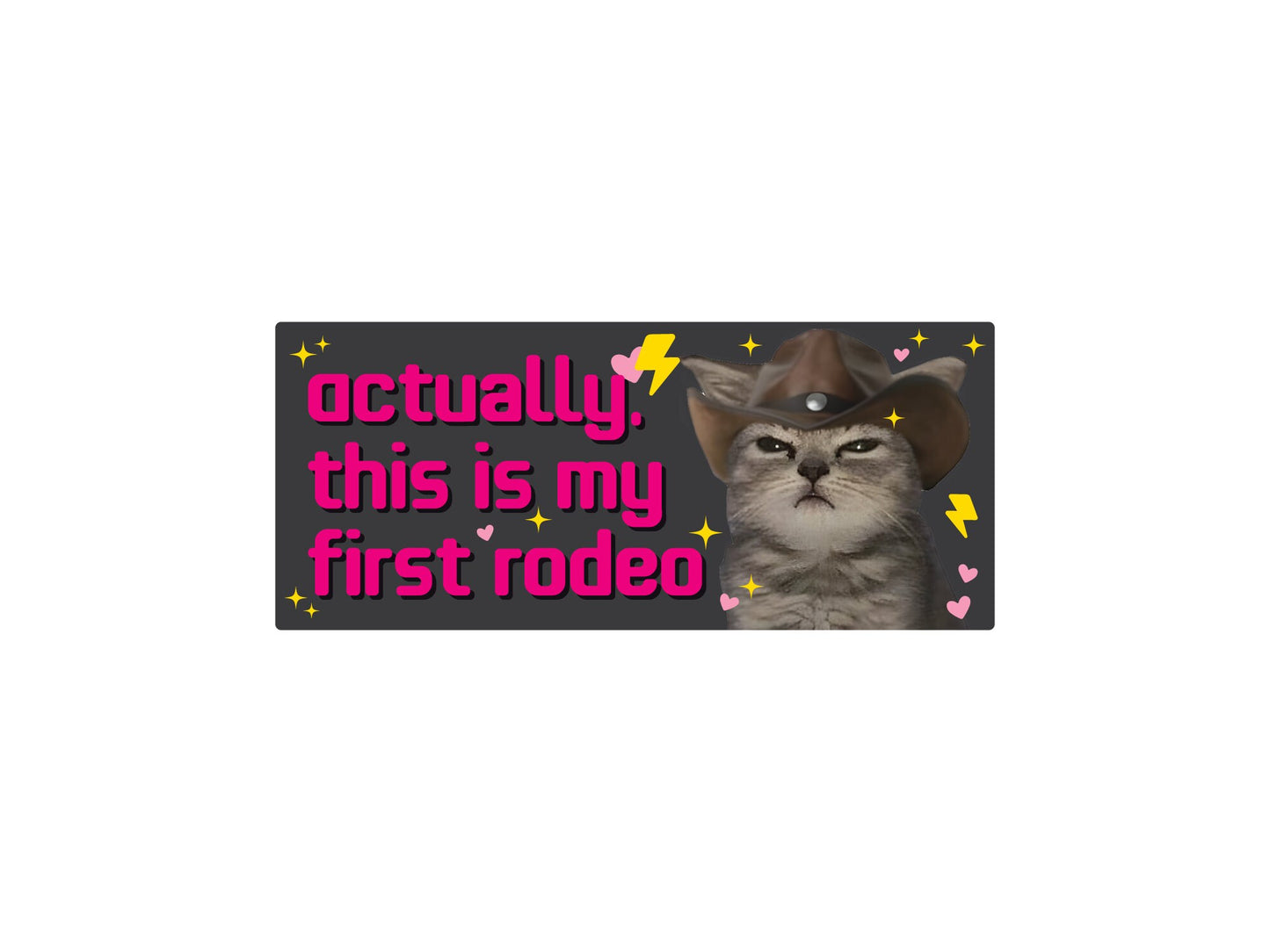 This is My First Rodeo Cat Funny 7" Bumper Sticker or Magnet