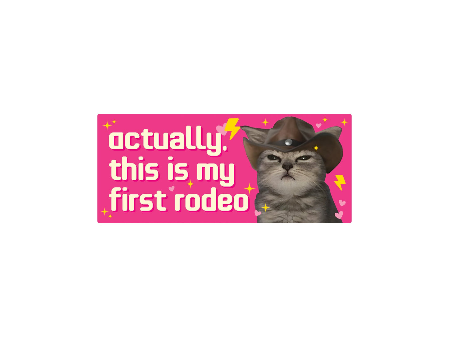 This is My First Rodeo Cat Funny 7" Bumper Sticker or Magnet