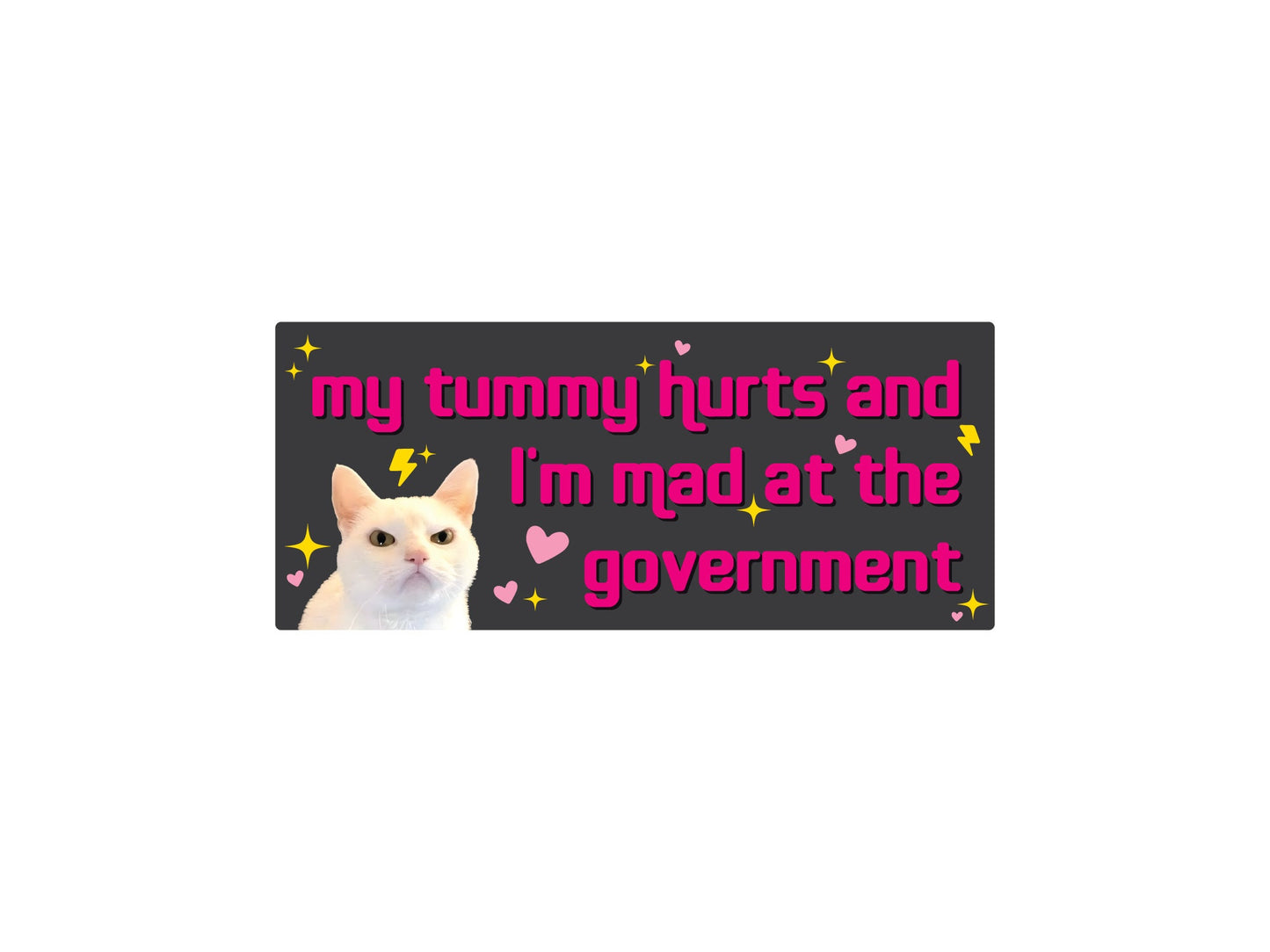 My Tummy Hurts and I'm Mad at the Government Funny 7" Bumper Sticker or Magnet