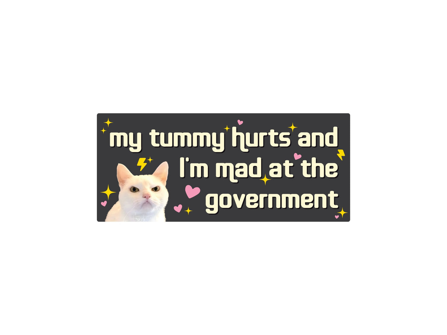 My Tummy Hurts and I'm Mad at the Government Funny 7" Bumper Sticker or Magnet