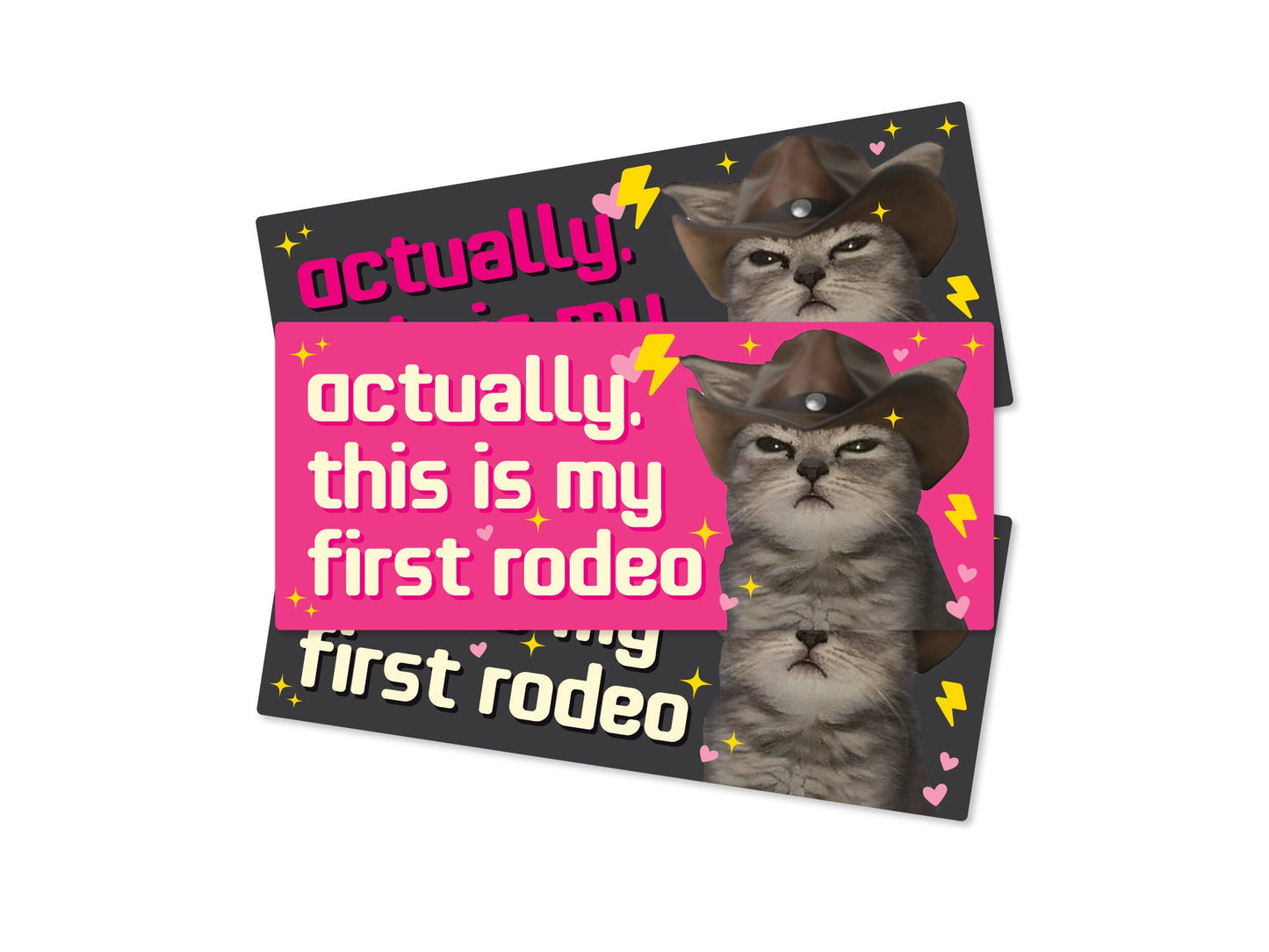 This is My First Rodeo Cat Funny 7" Bumper Sticker or Magnet