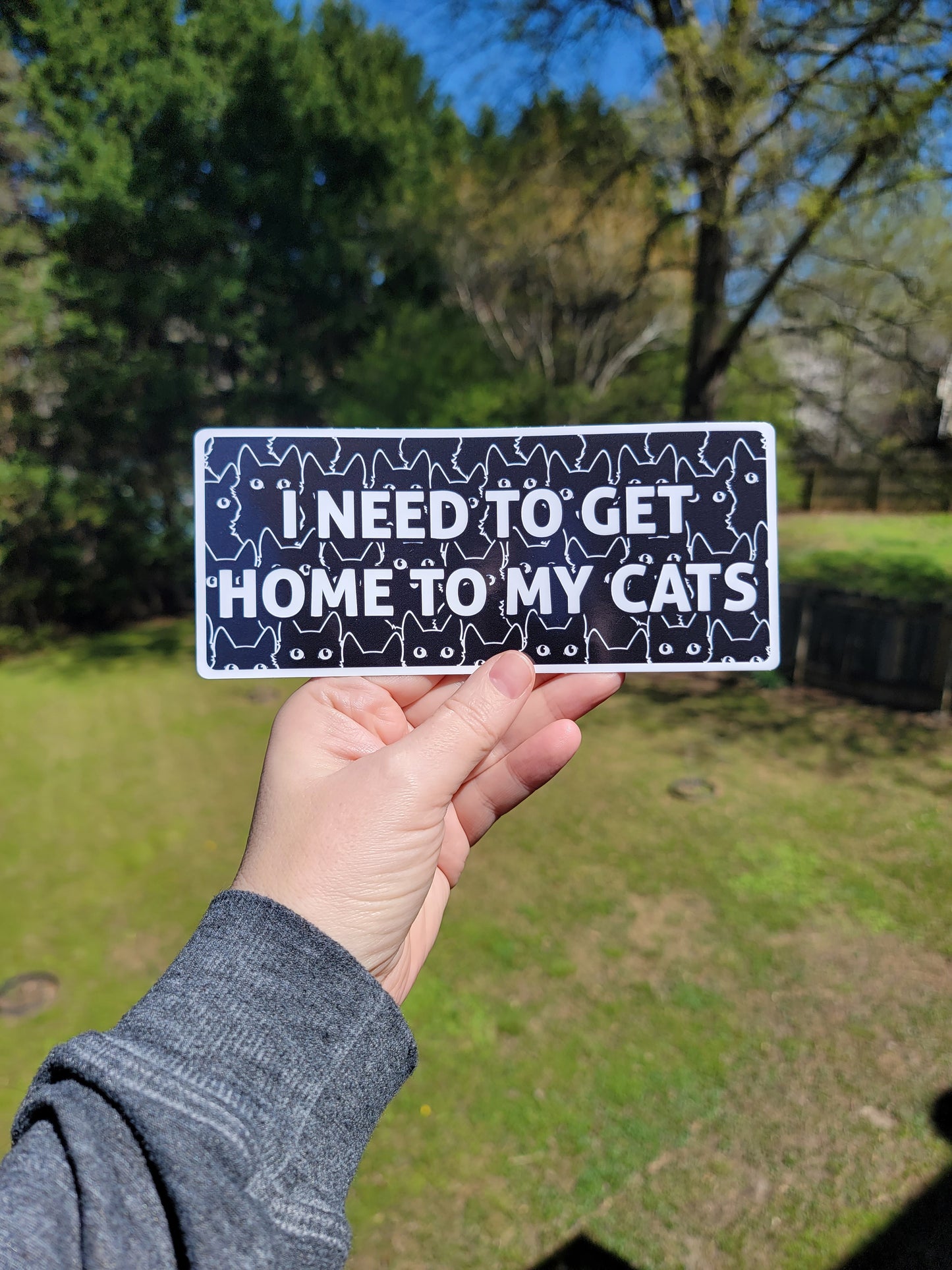 I Need to Get Home to My Cats 7" Funny Bumper Sticker