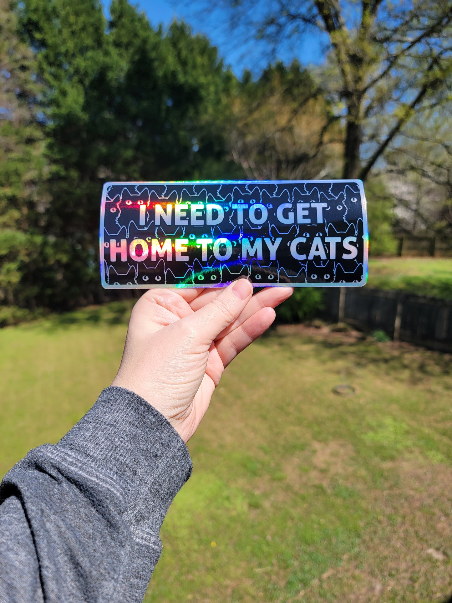 I Need to Get Home to My Cats 7" Funny Bumper Sticker