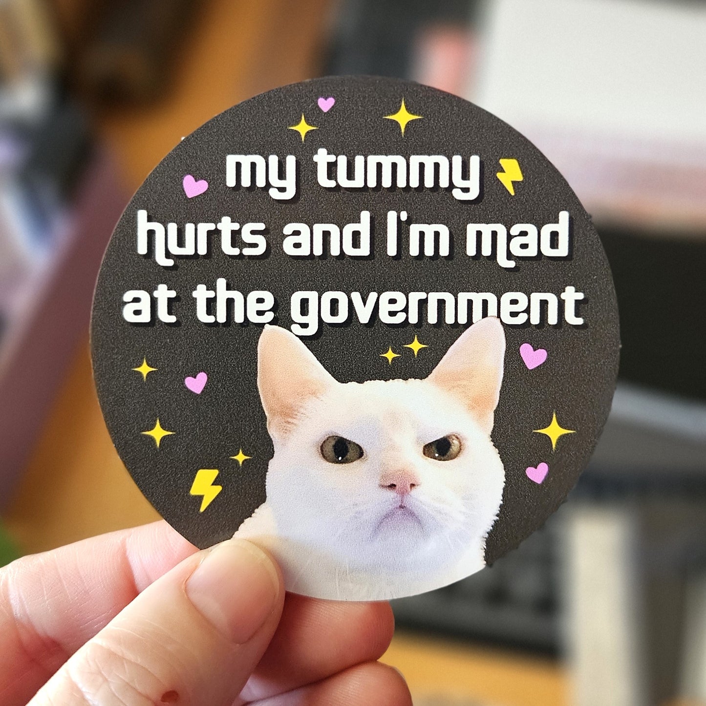 My Tummy Hurts and I'm Mad at the Government Round Funny Sticker