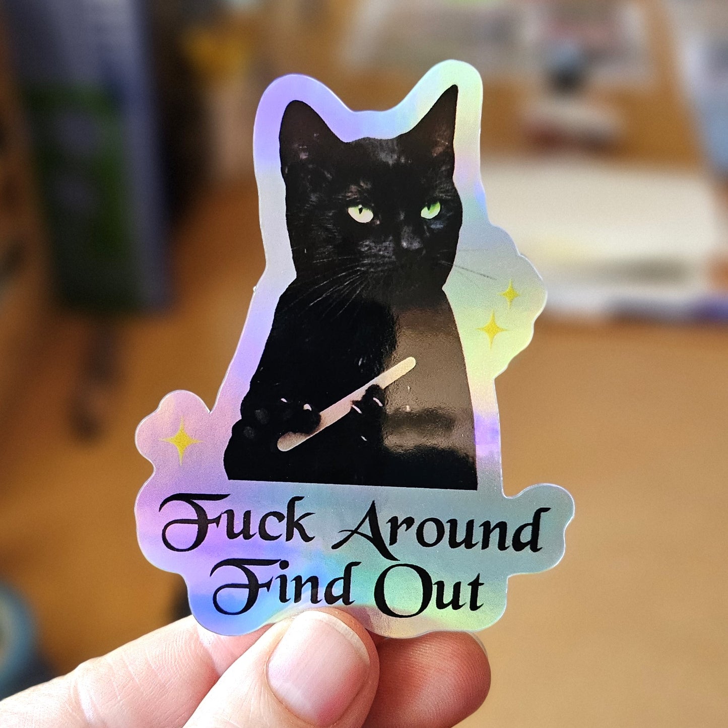 Fuck Around and Find Out Cat 3" Funny Sticker