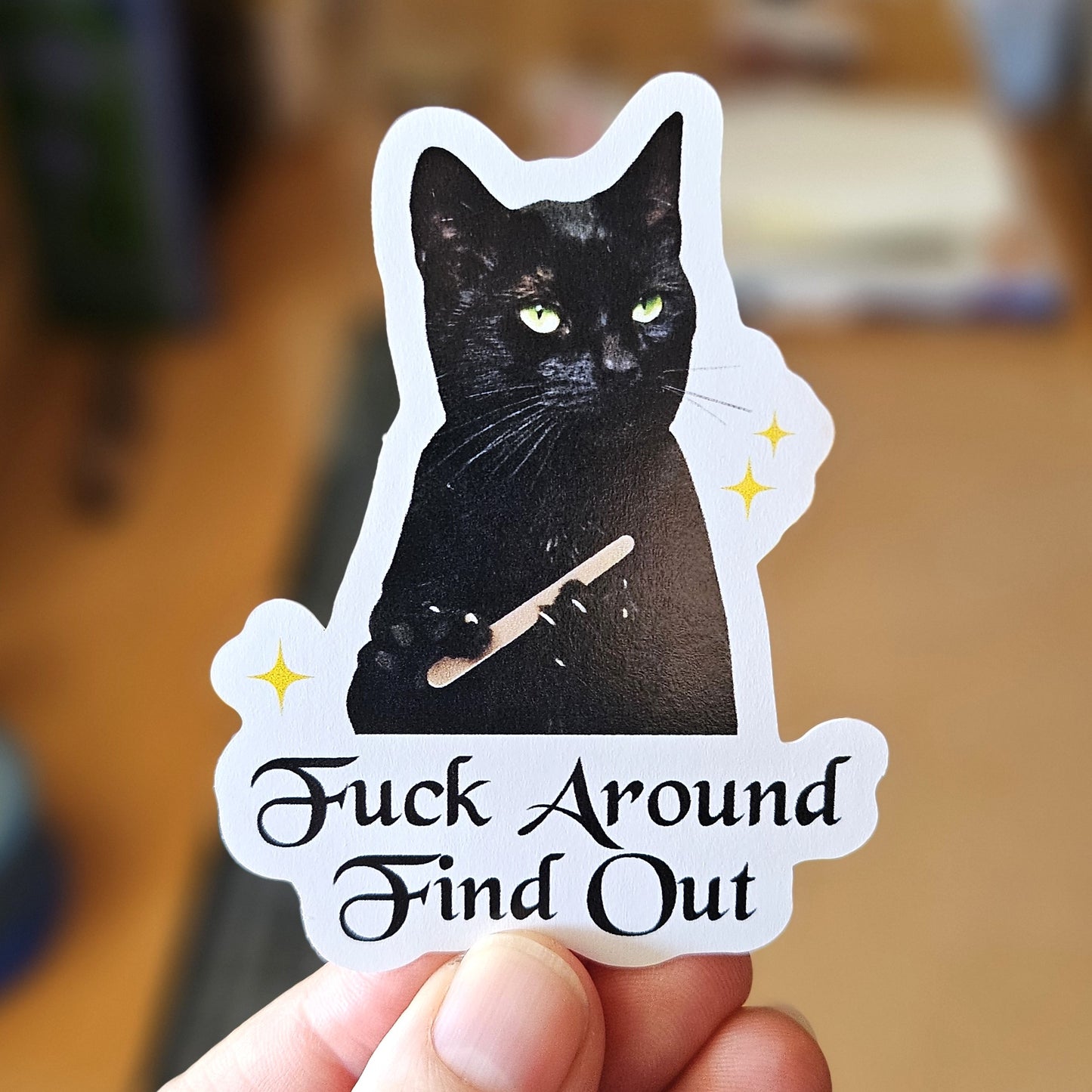 Fuck Around and Find Out Cat 3" Funny Sticker