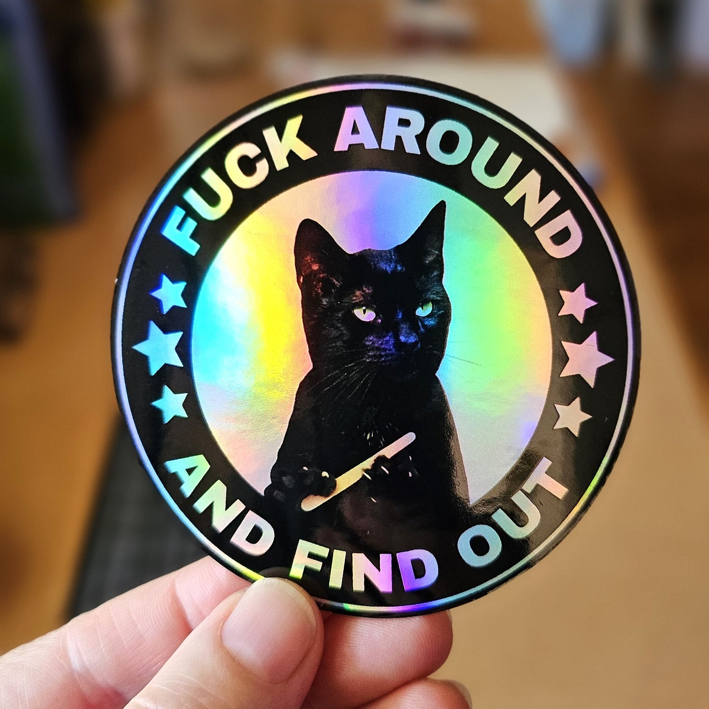 Fuck Around and Find Out Cat Round 3" Funny Sticker