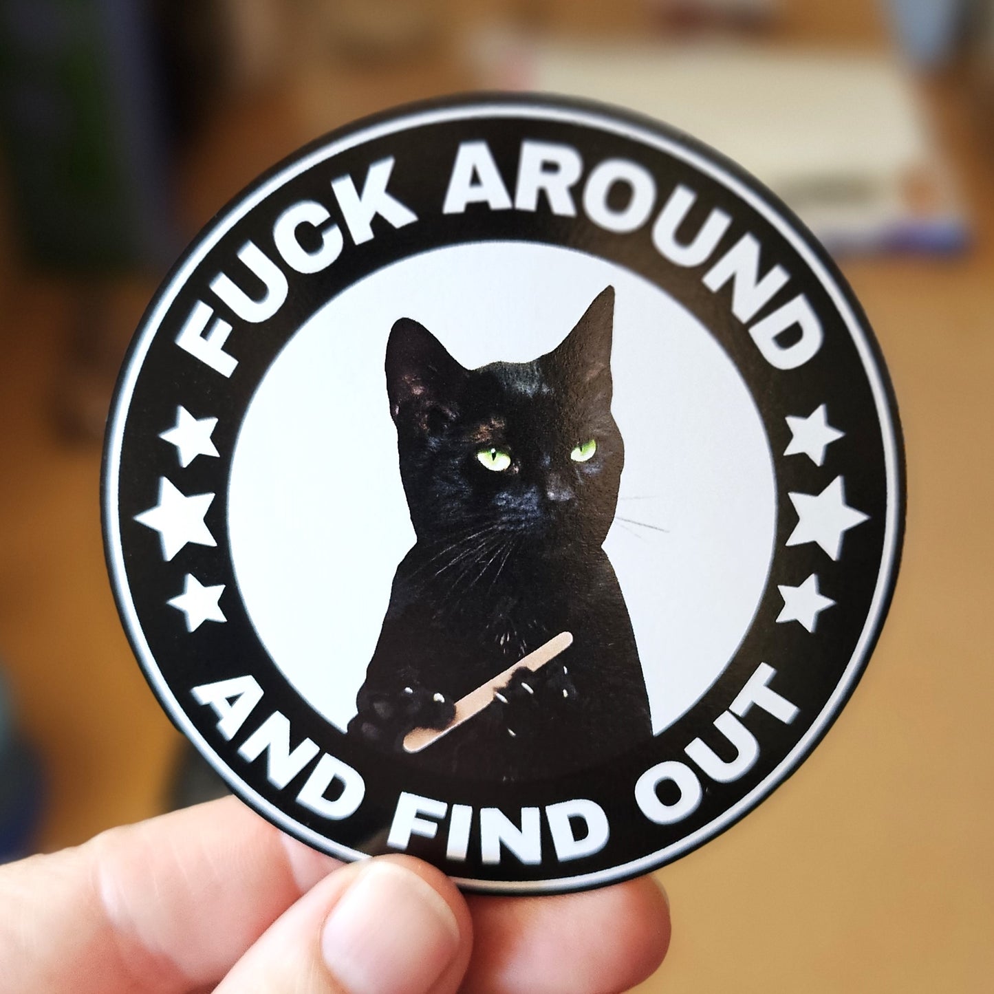 Fuck Around and Find Out Cat Round 3" Funny Sticker