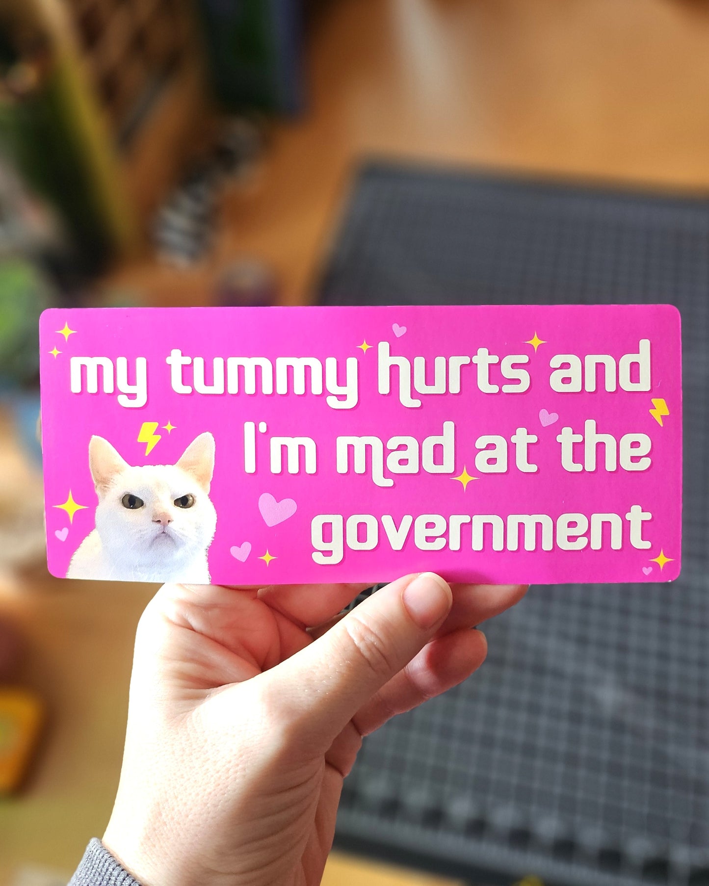 My Tummy Hurts and I'm Mad at the Government Funny 7" Bumper Sticker or Magnet