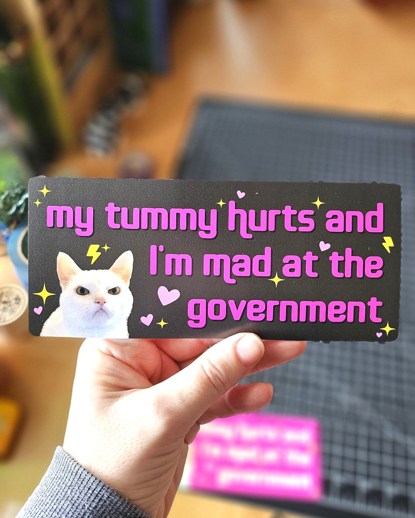 My Tummy Hurts and I'm Mad at the Government Funny 7" Bumper Sticker or Magnet