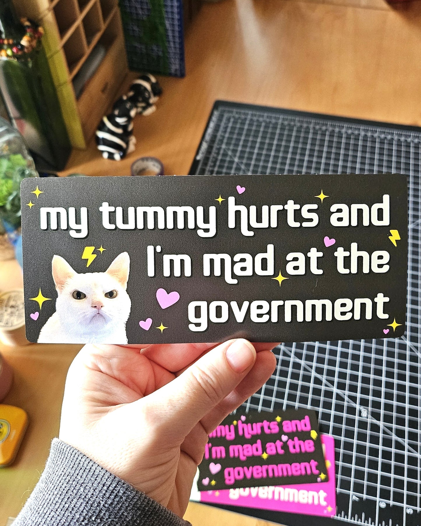 My Tummy Hurts and I'm Mad at the Government Funny 7" Bumper Sticker or Magnet