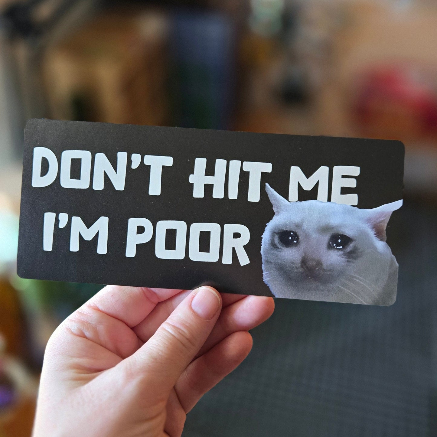 Don't Hit Me I'm Poor Cat 7" Funny Bumper Sticker