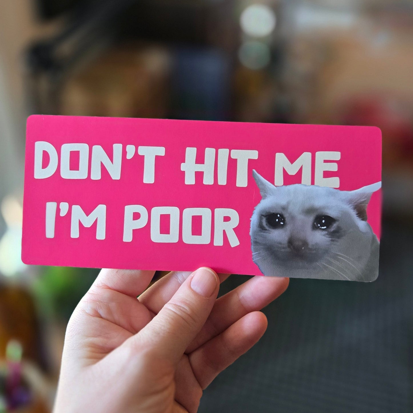 Don't Hit Me I'm Poor Cat 7" Funny Bumper Sticker