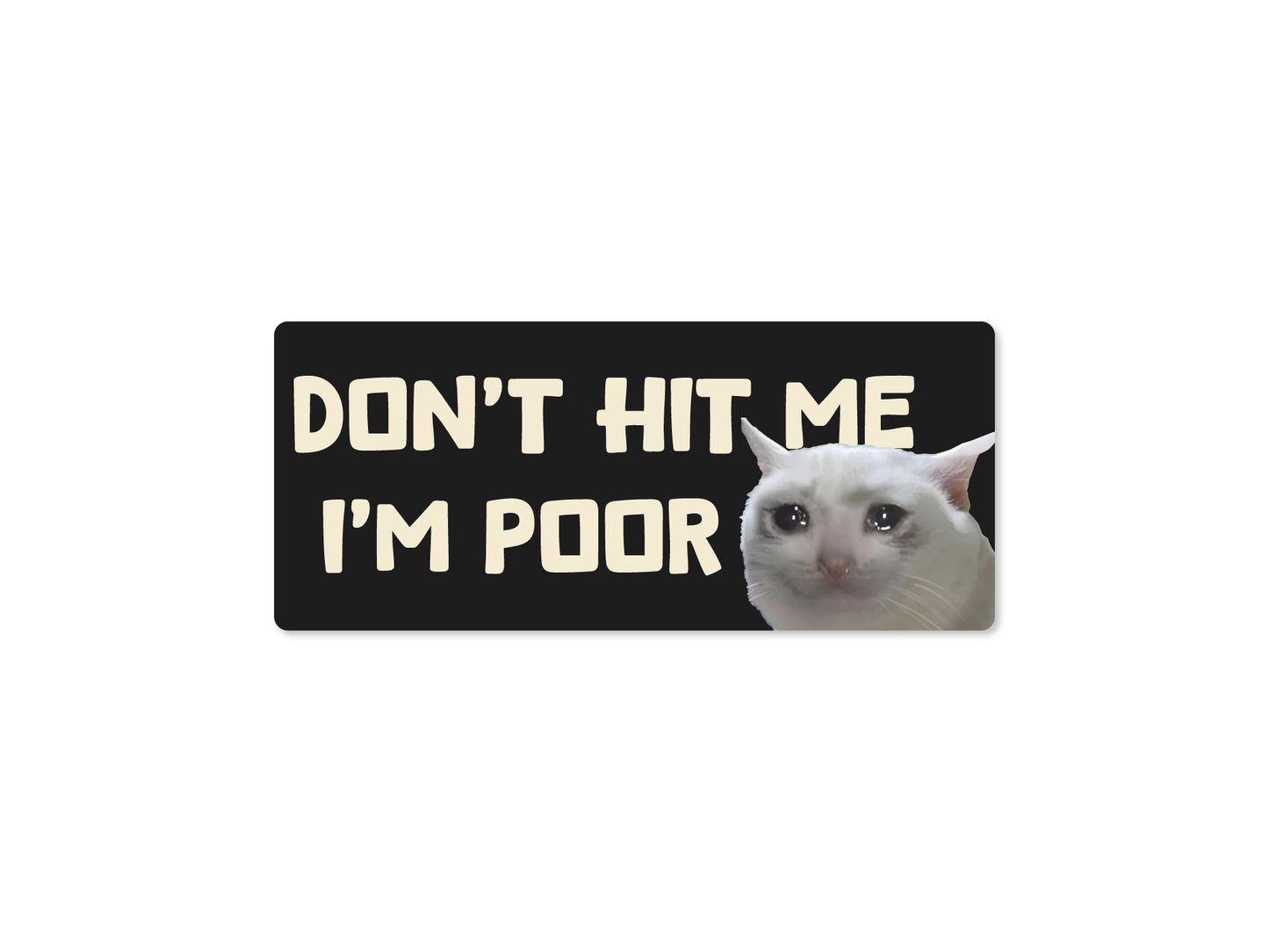 Don't Hit Me I'm Poor Cat 7" Funny Bumper Sticker