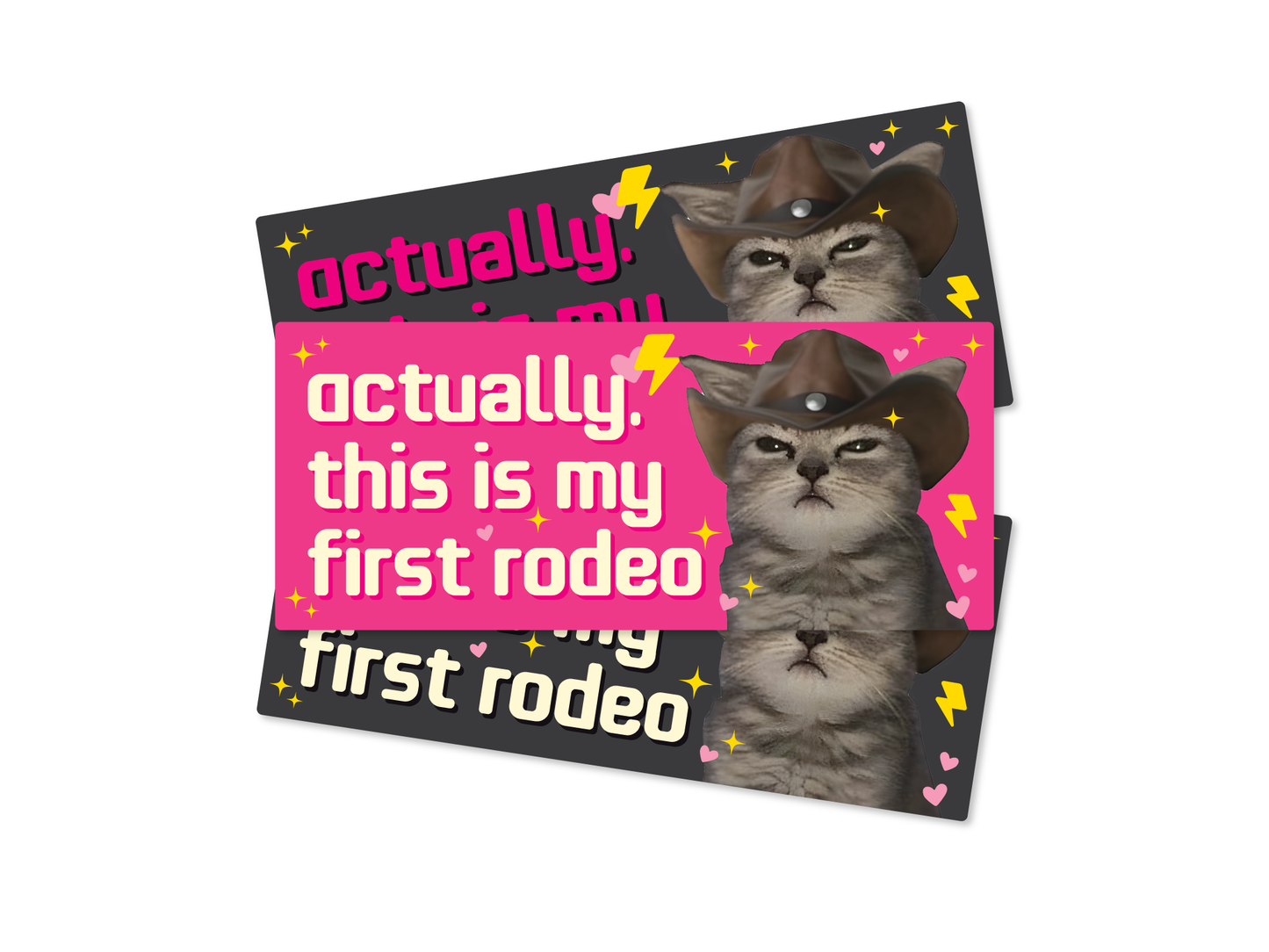 This is My First Rodeo Cat 7" Funny Bumper Sticker