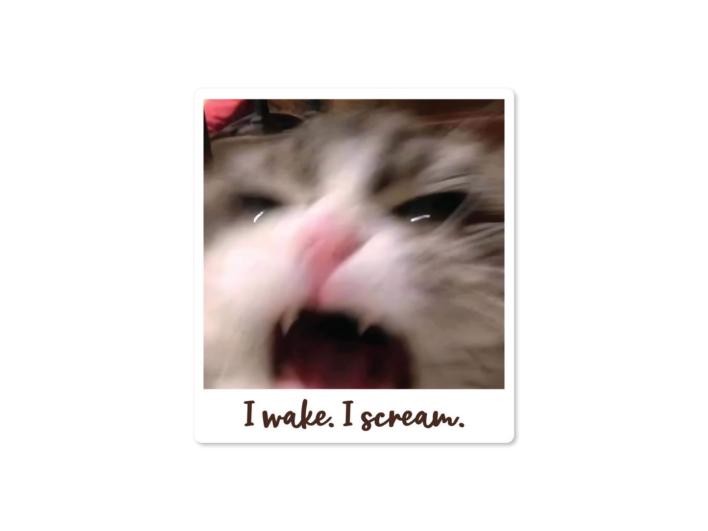 I wake. I scream. Cat 3" Funny Sticker