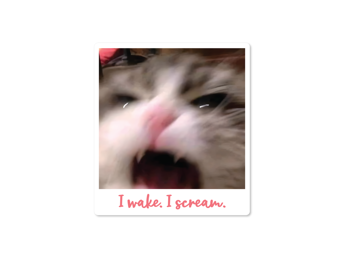 I wake. I scream. Cat 3" Funny Sticker