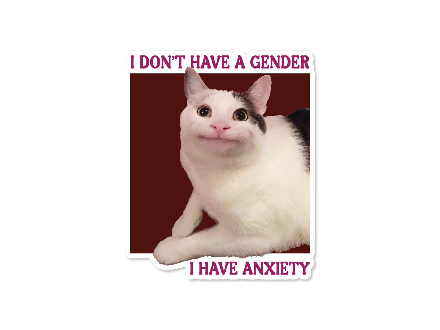 I Don’t Have a Gender, I Have Anxiety Cat 3" Funny Sticker