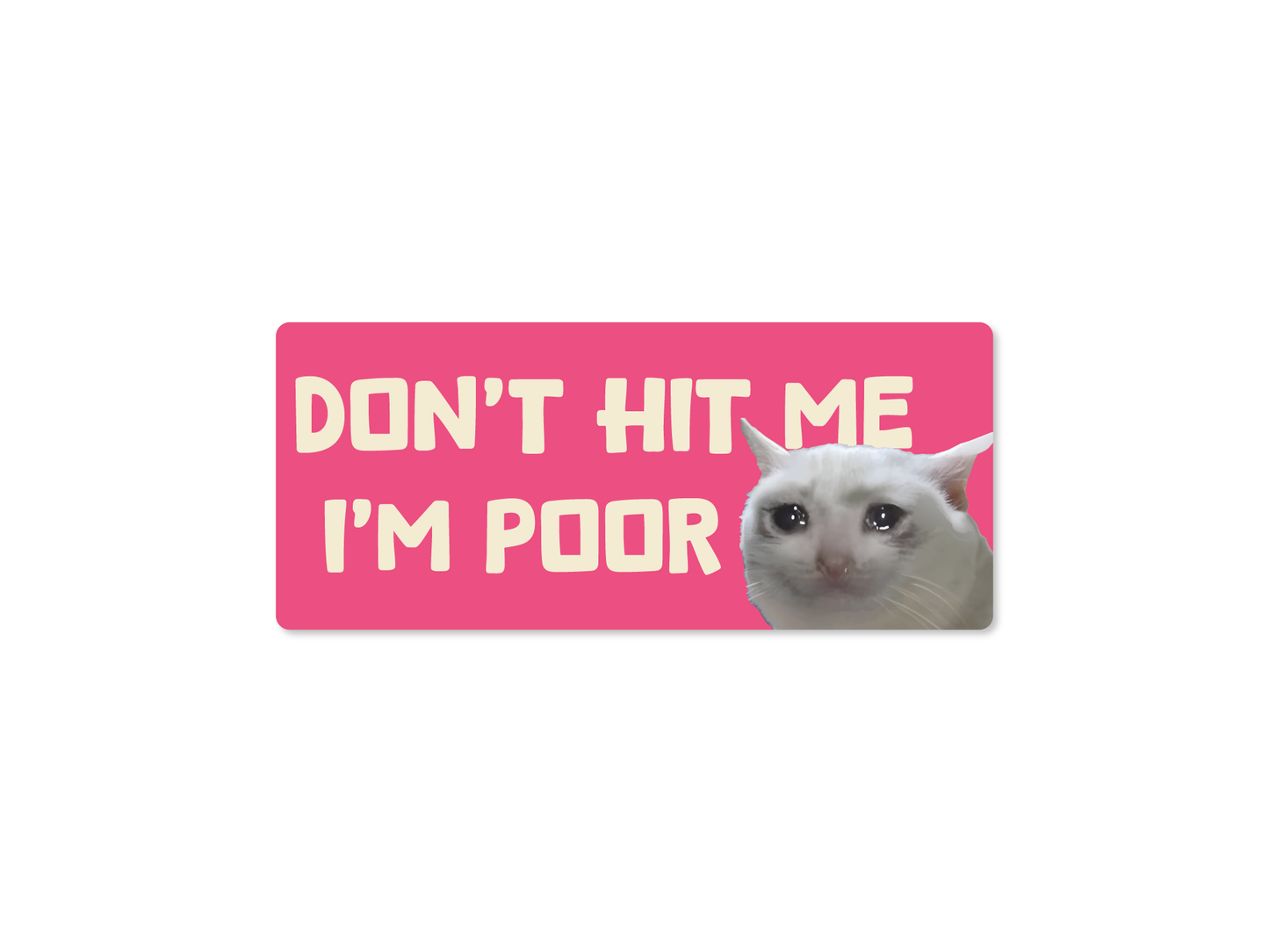 Don't Hit Me I'm Poor Cat 7" Funny Bumper Sticker