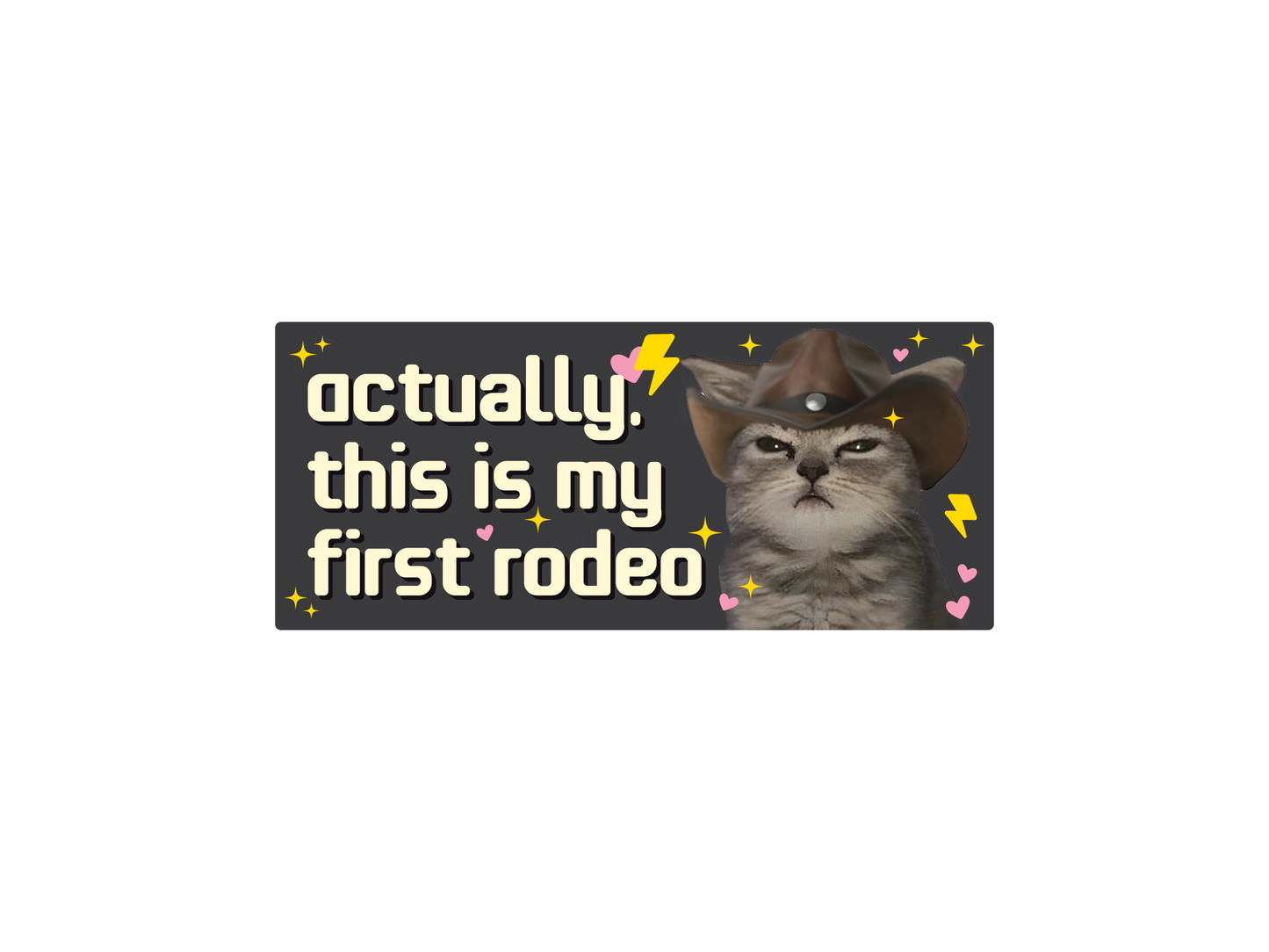 This is My First Rodeo Cat 7" Funny Bumper Sticker