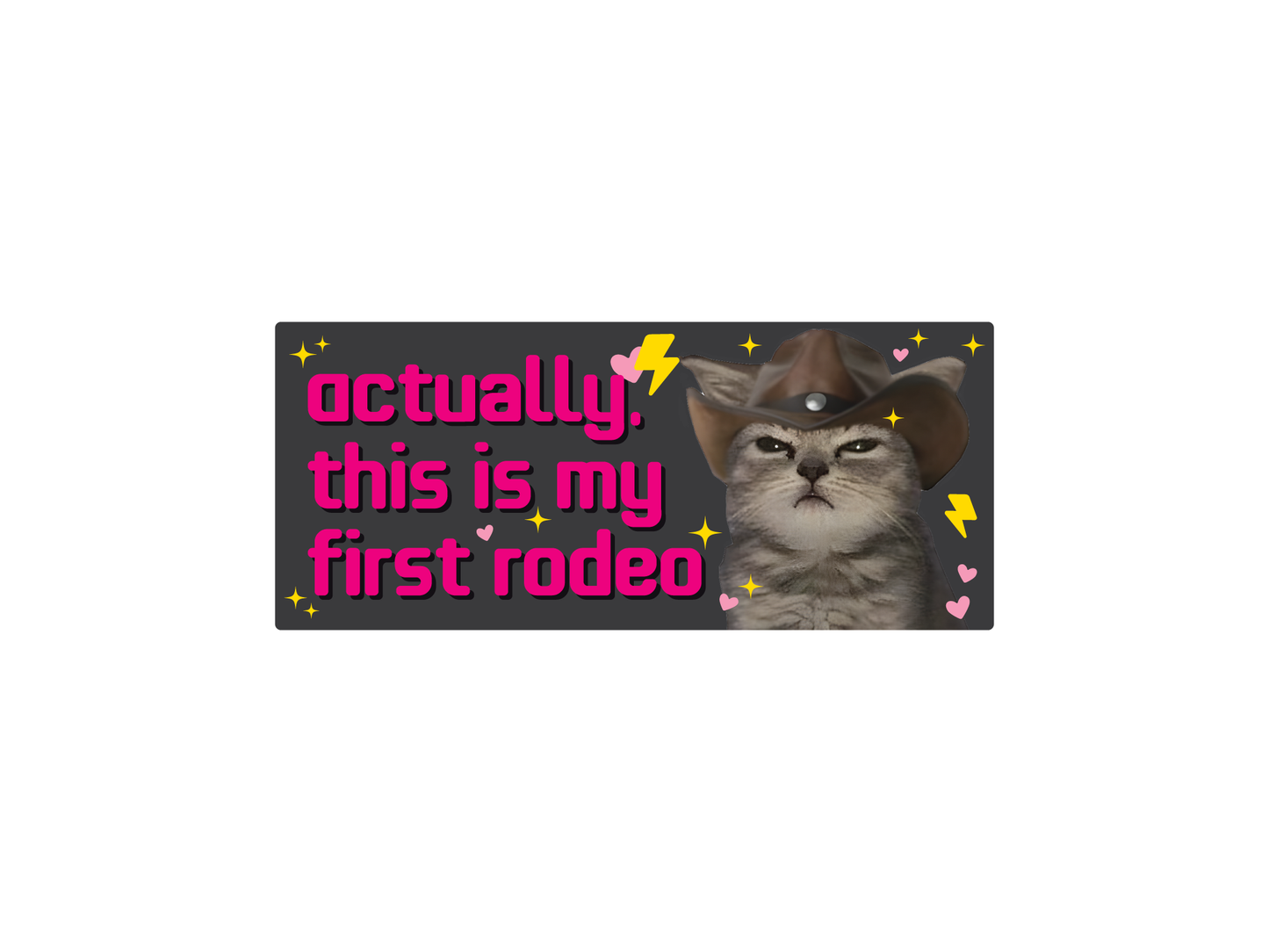 This is My First Rodeo Cat 7" Funny Bumper Sticker