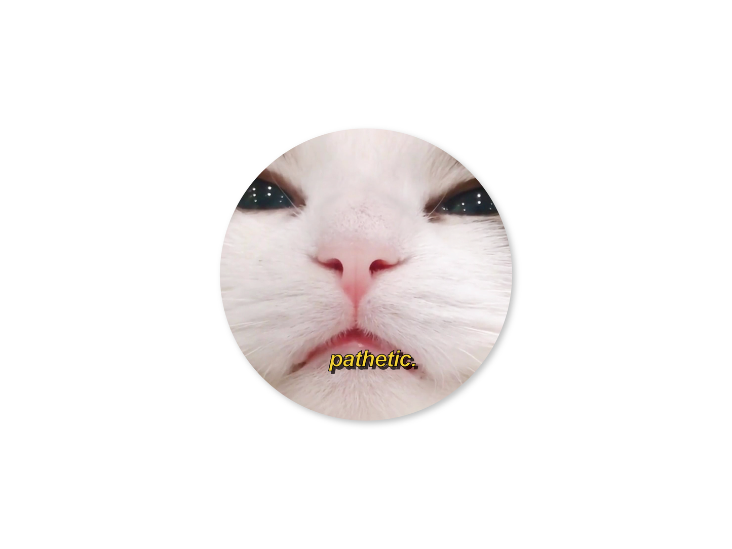 Pathetic. Judging Cat Meme 3" Funny Sticker