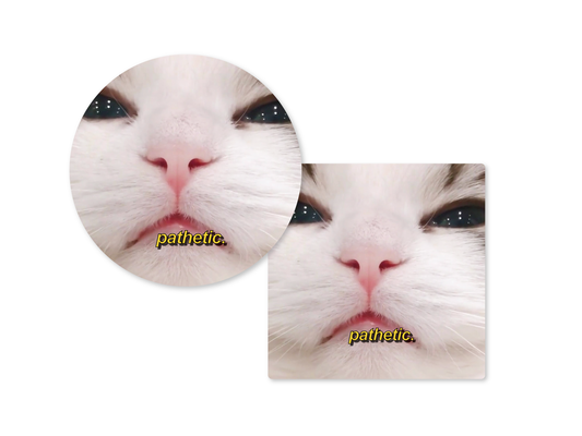 Pathetic. Judging Cat Meme 3" Funny Sticker