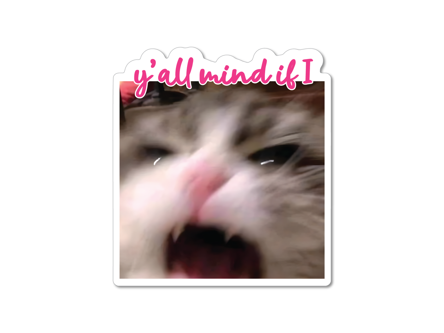 Y'all Mind if I Scream Cat 3" Funny Sticker