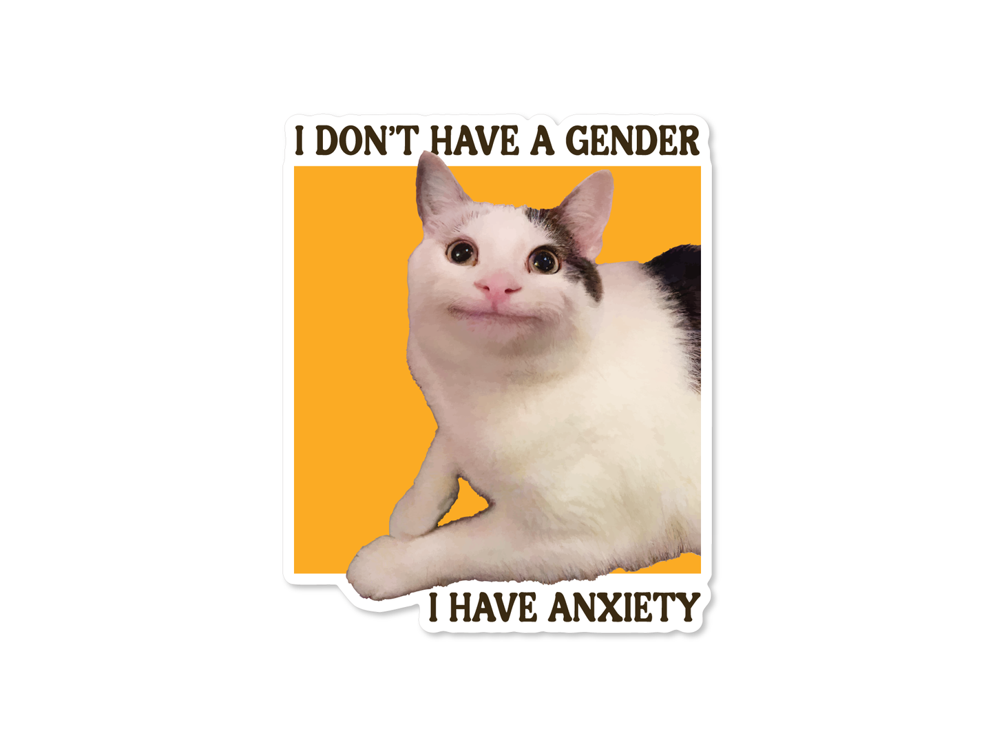 I Don’t Have a Gender, I Have Anxiety Cat 3" Funny Sticker